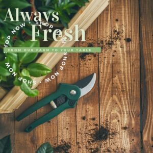 farmer's market and csa's