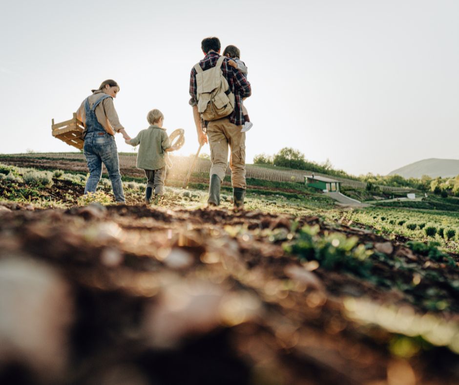 Agriculture Farm Websites